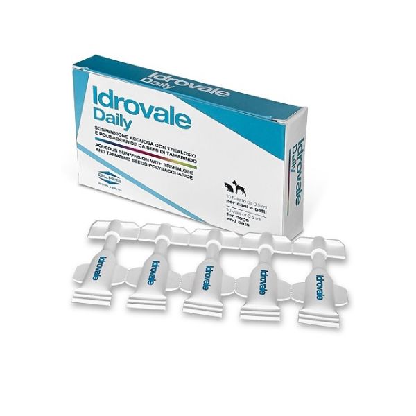 Slais - Idrovale Daily
