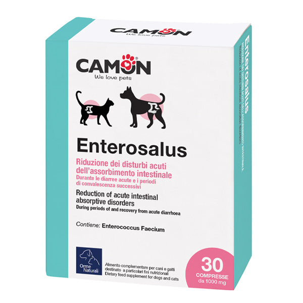 Camon - Enterosalus compresse