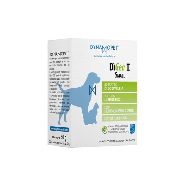 Dynamopet - DìGea I Small
