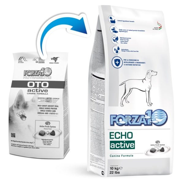 Forza10 - Echo Active