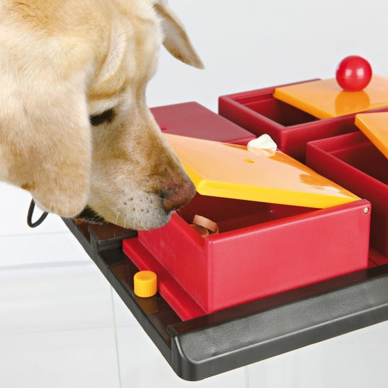 Gioco per cani con corda per il riporto e la masticazione.   Materiale: cotone e poliestere   Dimensioni: Lunghezza totale 50 cm