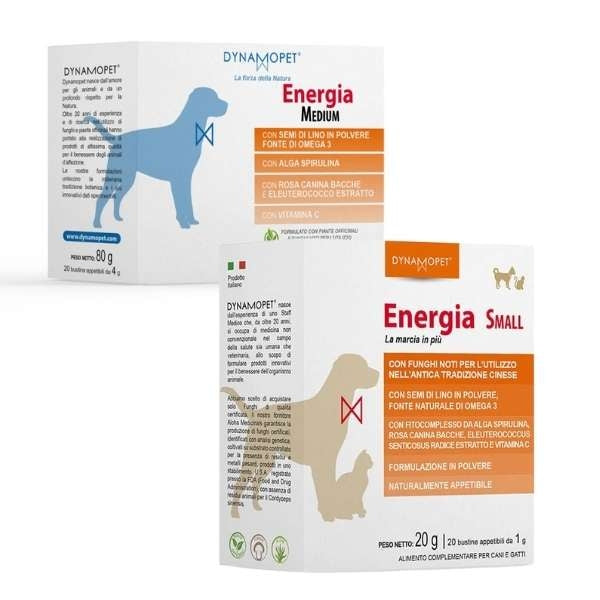 Dynamopet - Energia
