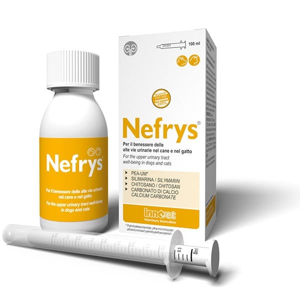 Innovet - Nefrys Veg