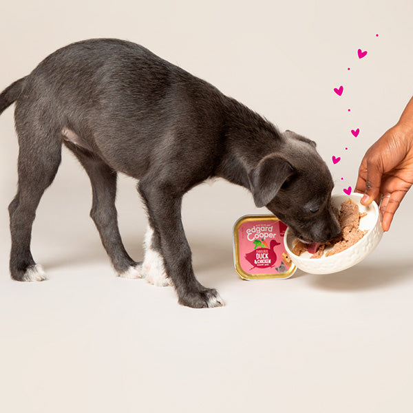 Edgard&Cooper - Puppy Anatra e pollo Senza Cereali