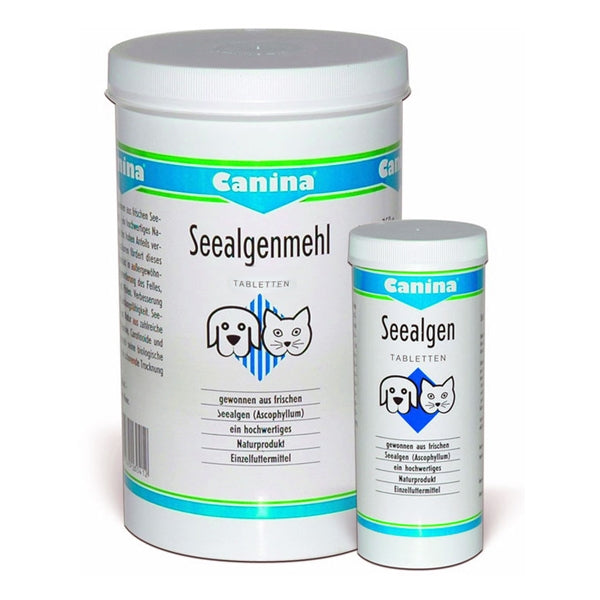 Drn - Seealgen