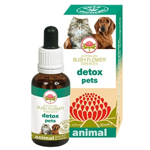 Green Remedies spa - Detox Pets