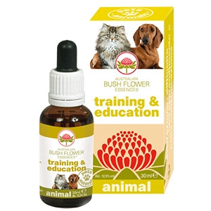 Green Remedies spa - Training & Education