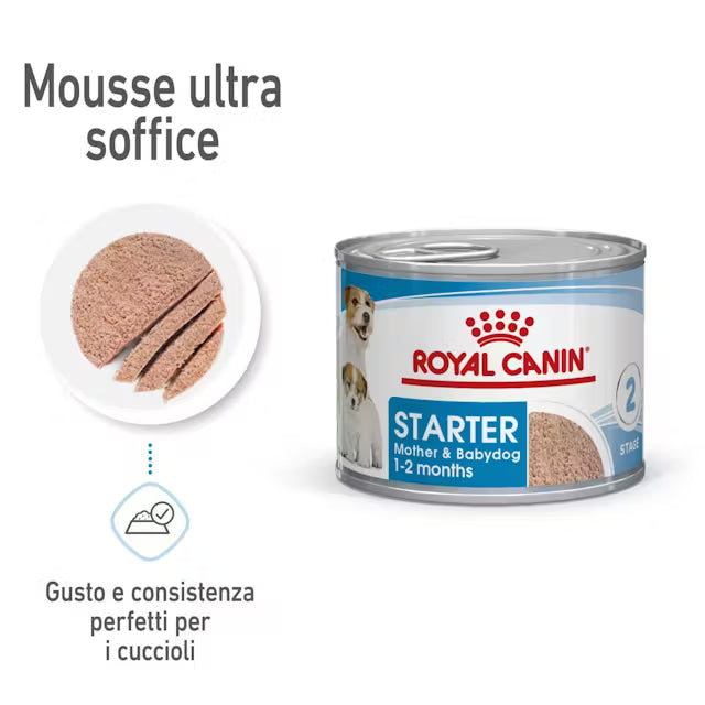 Royal Canin - Starter Mousse